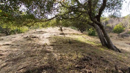 Enlarge photo 75