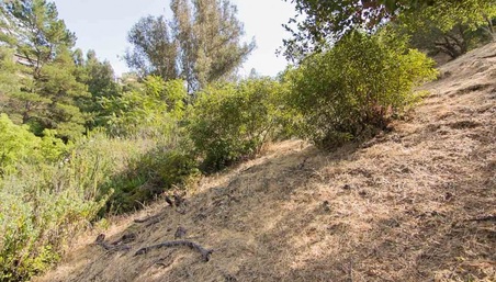 Enlarge photo 77