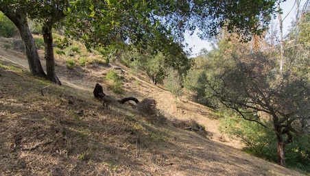 Enlarge photo 79