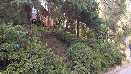 Enlarge photo 88