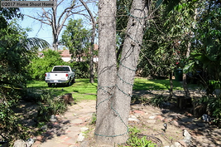 Enlarge photo 28