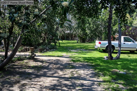 Enlarge photo 36
