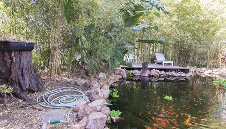 Enlarge photo 128
