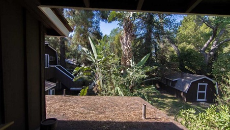Enlarge photo 63