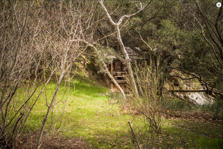 Enlarge photo 33