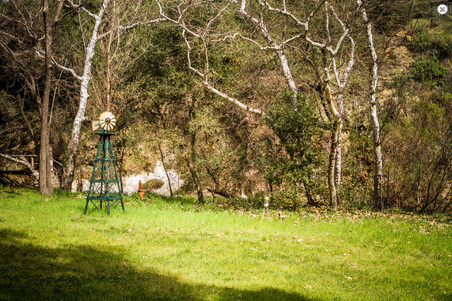 Enlarge photo 41