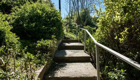 Enlarge photo 31
