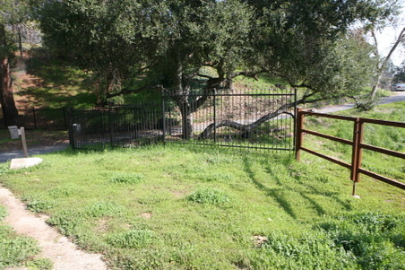 Enlarge photo 2