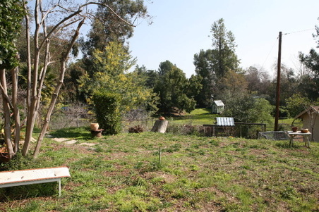 Enlarge photo 48