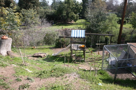 Enlarge photo 49