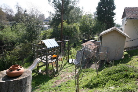 Enlarge photo 50