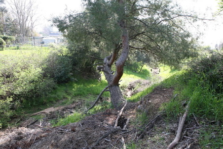 Enlarge photo 55