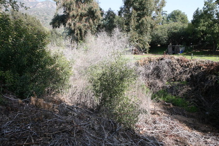 Enlarge photo 56