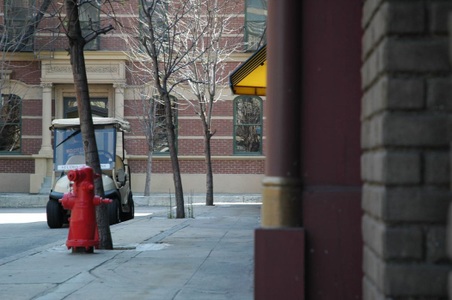 Enlarge photo 122