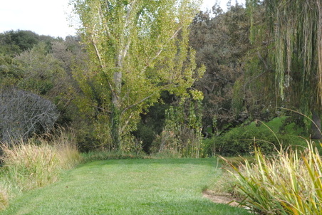 Enlarge photo 4