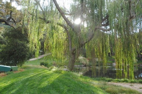 Enlarge photo 7