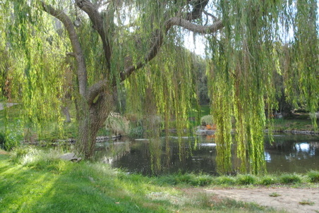 Enlarge photo 9
