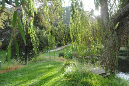 Enlarge photo 8