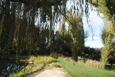 Enlarge photo 10