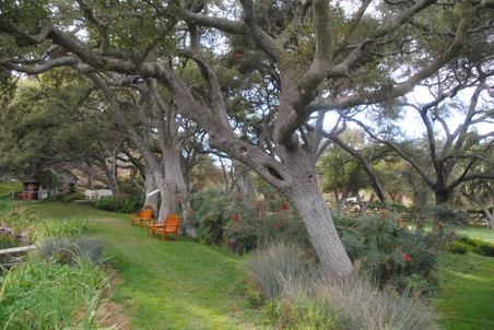 Enlarge photo 11