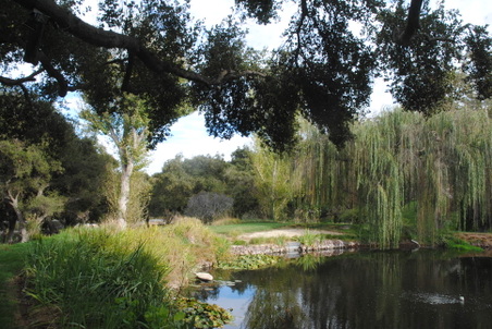 Enlarge photo 12