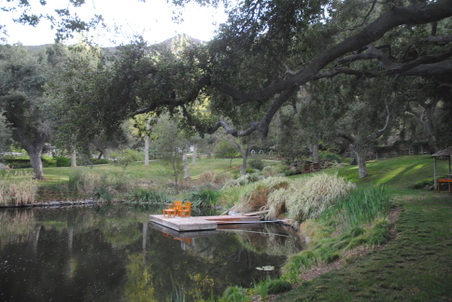 Enlarge photo 13