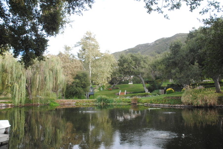 Enlarge photo 15