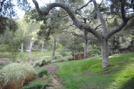 Enlarge photo 18