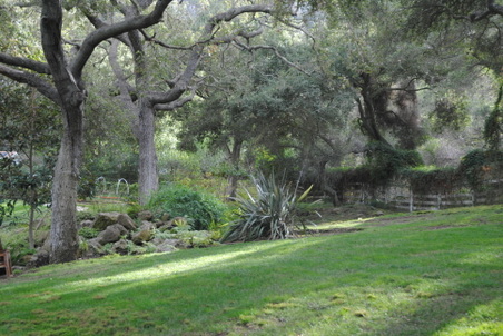 Enlarge photo 20