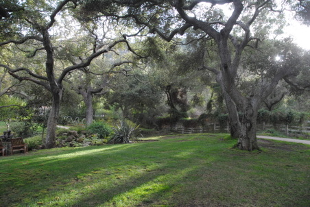 Enlarge photo 21