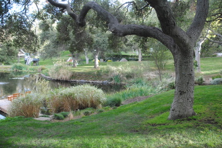 Enlarge photo 22