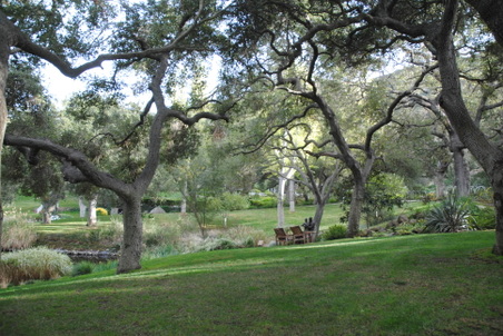 Enlarge photo 24
