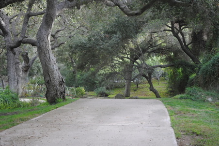 Enlarge photo 25
