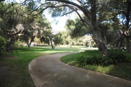 Enlarge photo 26