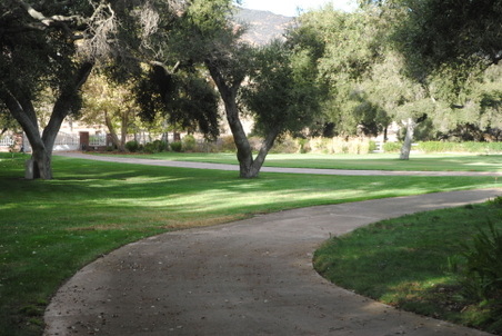 Enlarge photo 27