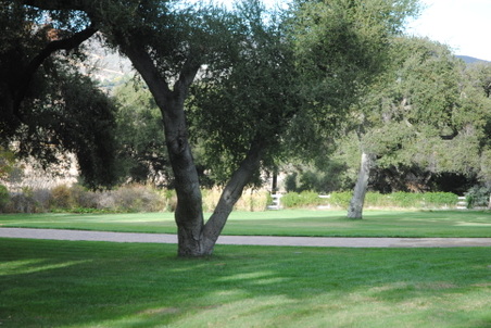 Enlarge photo 30