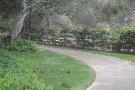 Enlarge photo 32