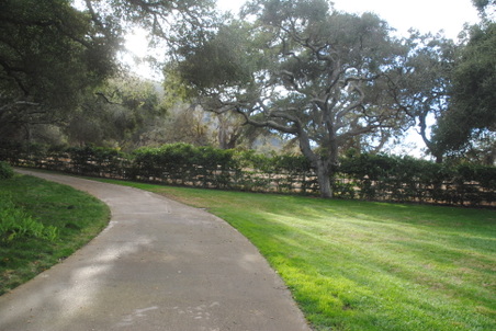 Enlarge photo 34