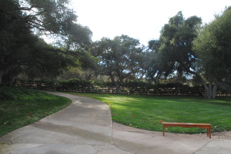 Enlarge photo 37