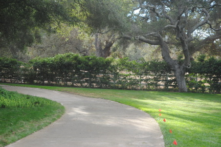 Enlarge photo 35