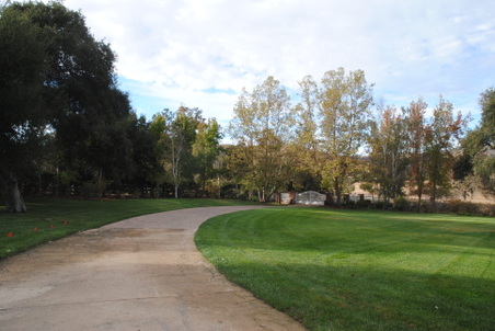 Enlarge photo 36