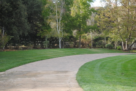 Enlarge photo 38