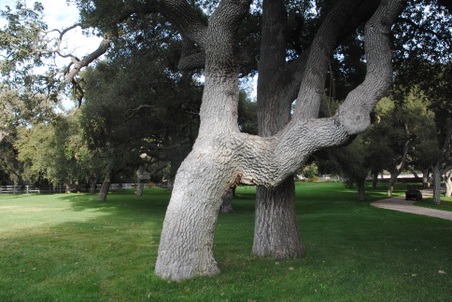 Enlarge photo 39