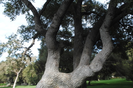 Enlarge photo 40
