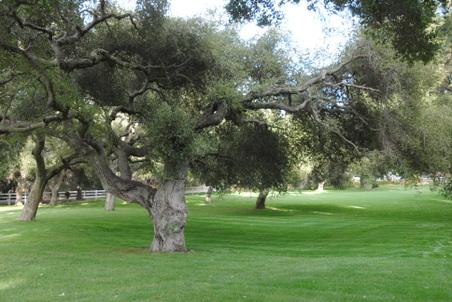 Enlarge photo 42
