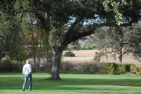 Enlarge photo 41