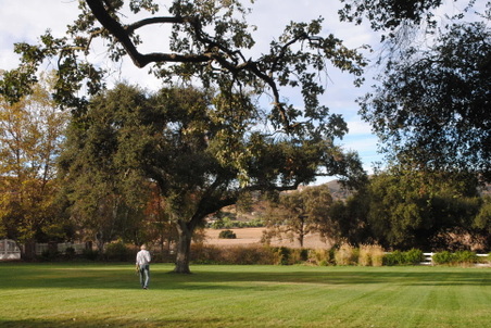 Enlarge photo 43