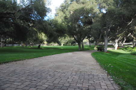 Enlarge photo 45