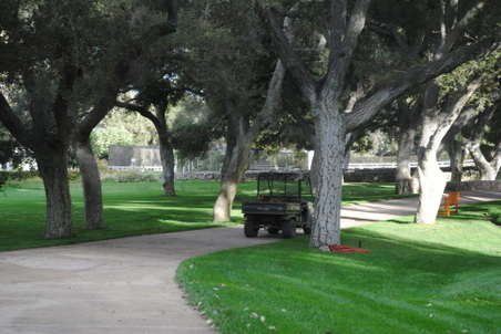 Enlarge photo 46