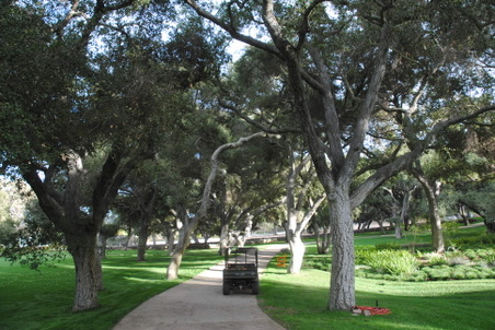 Enlarge photo 47